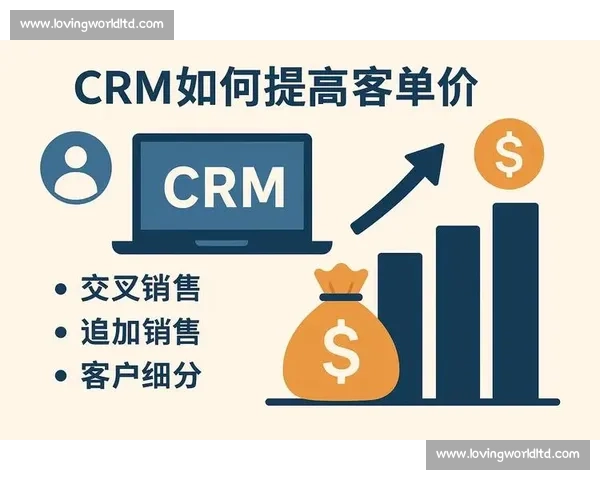 企业客户关系优化与精准管理策略全面提升方案